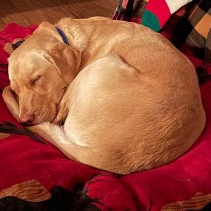 Meet your Posher, Brittney